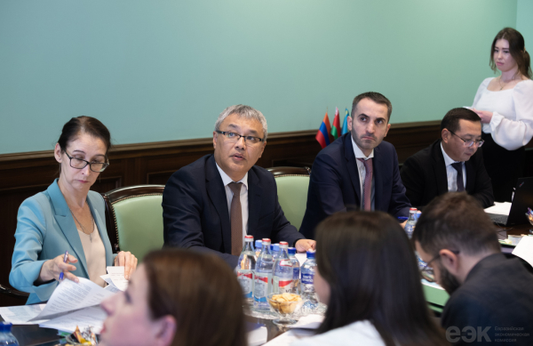 ЕЭК: совершенствование положений Договора о Евразийском экономическом союзе