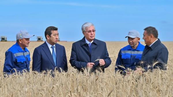 Токаев осмотрел ход уборочной кампании в Акмолинской области
Токаев осмотрел ход уборочной кампании в Акмолинской области
