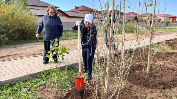 В Астане в жилом массиве Пригородный высадили более 700 деревьев В Астане в жилом массиве Пригородный высадили более 700 деревьев