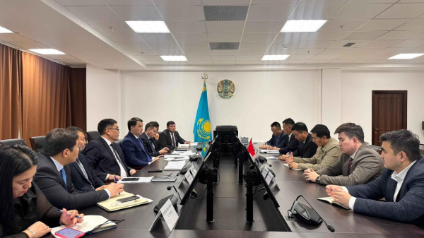 В Жамбылской области реализуют проект по глубокой переработке кукурузы