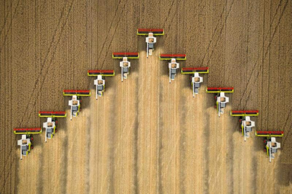 Глава государства ознакомился с ходом уборочной кампании в Акмолинской области