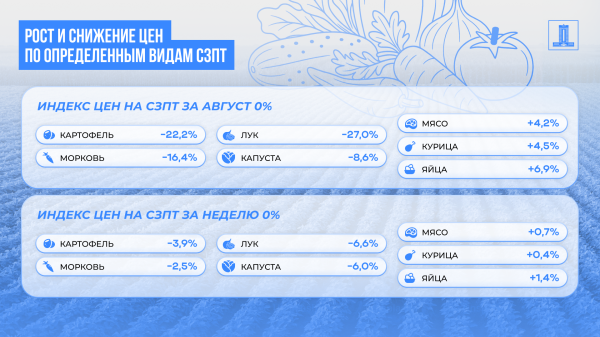 Соцподдержка и цифровой контроль: новые меры по стабилизации цен Соцподдержка и цифровой контроль: новые меры по стабилизации цен