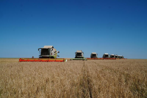 Акмолинские аграрии собрали рекордных 5 миллионов тонн зерна Акмолинские аграрии собрали рекордных 5 миллионов тонн зерна