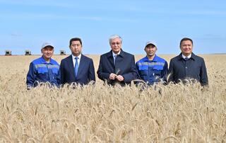Глава государства ознакомился с ходом уборочной кампании в Акмолинской области