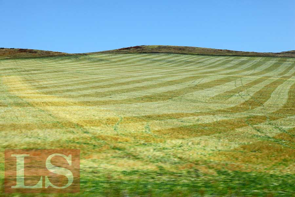 Земельная реформа: бюрократию заменит цифровая система Земельная реформа: бюрократию заменит цифровая система