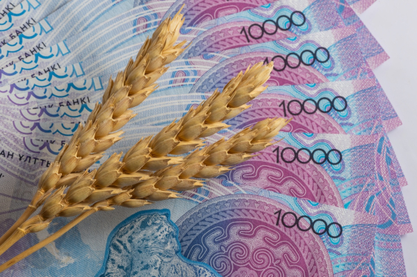 Президенту Казахстана презентовали новый страховой продукт для аграриев Президенту Казахстана презентовали новый страховой продукт для аграриев