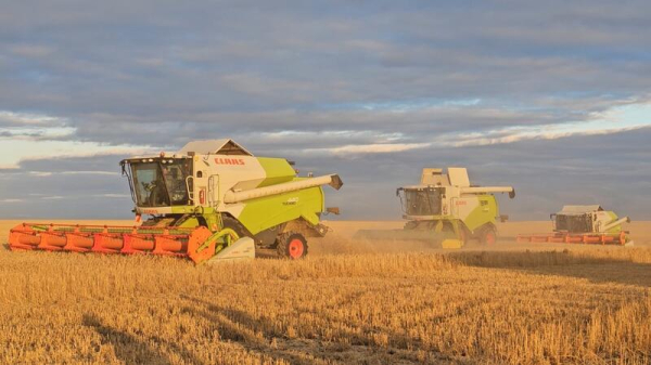 В Казахстане стартует программа «Игілік» по развитию племенного животноводства