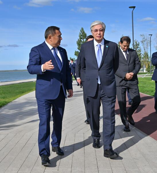 Президенту представили проект парка «Көк шалғын»