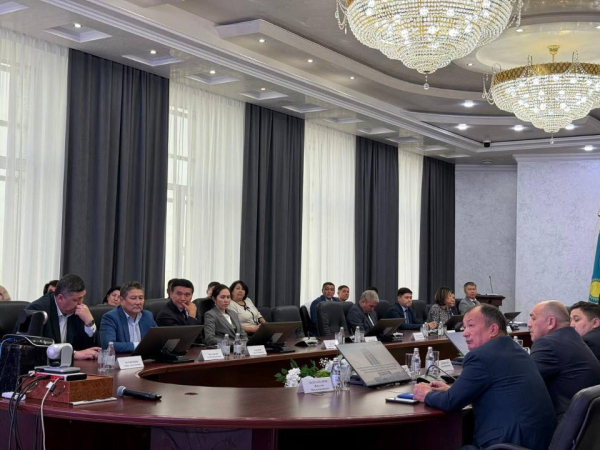 Казахстан строит прагматичный путь к углеродной нейтральности