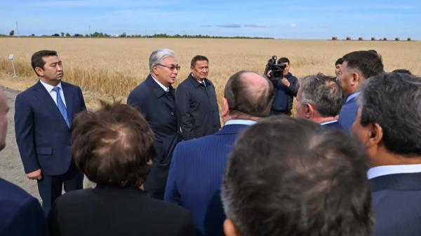 Токаев: Надо увеличивать долю сельского хозяйства в экономике
Токаев: Надо увеличивать долю сельского хозяйства в экономике