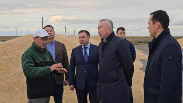 В Казахстане стартует программа «Игілік» по развитию племенного животноводства