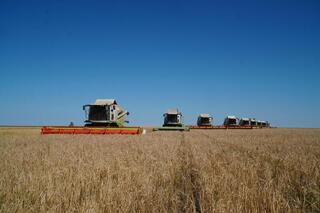Акмолинские аграрии собрали рекордных 5 миллионов тонн зерна Акмолинские аграрии собрали рекордных 5 миллионов тонн зерна