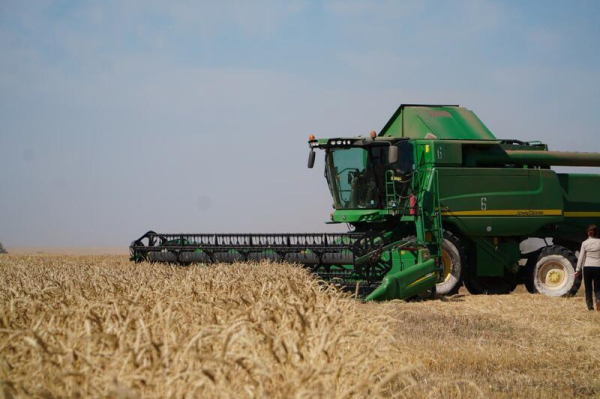 В Акмолинской области уборочная кампания в активной фазе