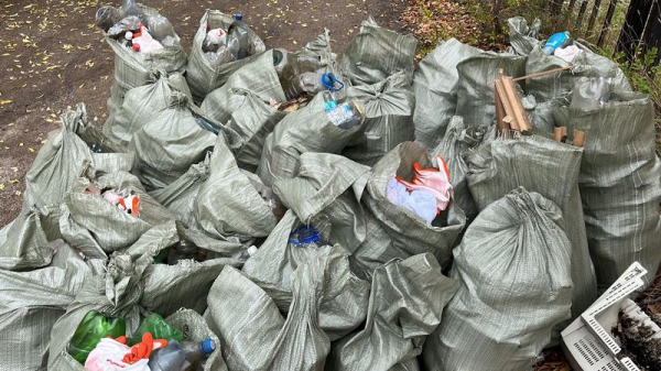 Всемирный день чистоты: в Карагандинской области собрали свыше 20 тысяч тонн мусора