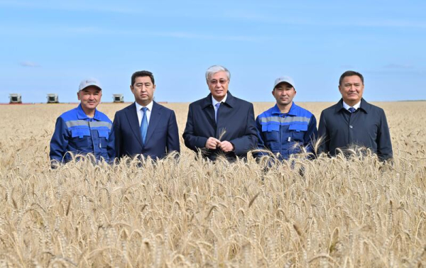 Глава государства ознакомился с ходом уборочной кампании в Акмолинской области