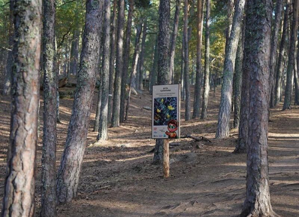 В Бурабае построена экотропа «БӨЛЕКТАУ» В Бурабае построена экотропа «БӨЛЕКТАУ»