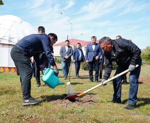 В Акмолинской области уборочная кампания в активной фазе