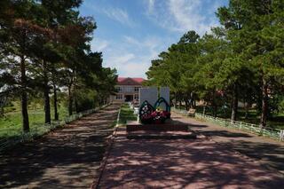 В Акмолинской области уборочная кампания в активной фазе