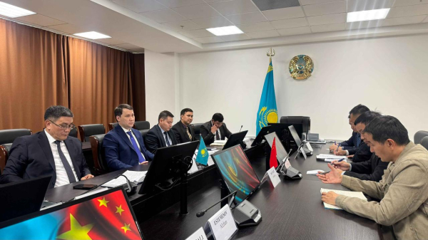 В Жамбылской области реализуют проект по глубокой переработке кукурузы