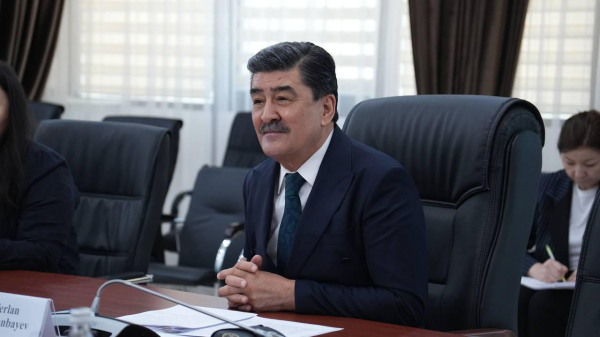 Казахстан укрепляет взаимодействие с ОТГ в сфере экологии и климата