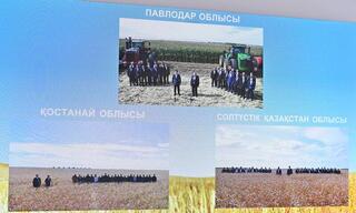 Президент Касым-Жомарт Токаев провел совещание по вопросу уборочной кампании