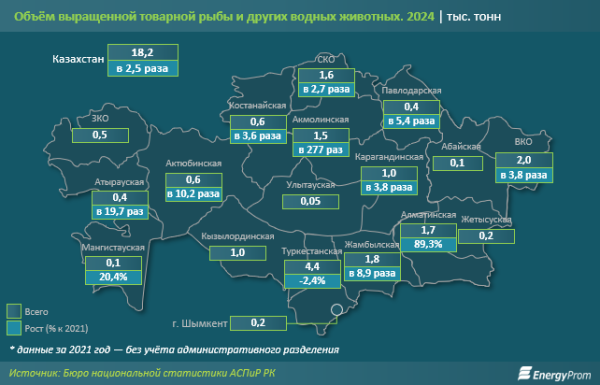 Хороший улов: производство рыбы в Казахстане выросло на 21% Хороший улов: производство рыбы в Казахстане выросло на 21%