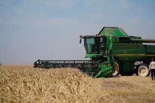 В Акмолинской области уборочная кампания в активной фазе