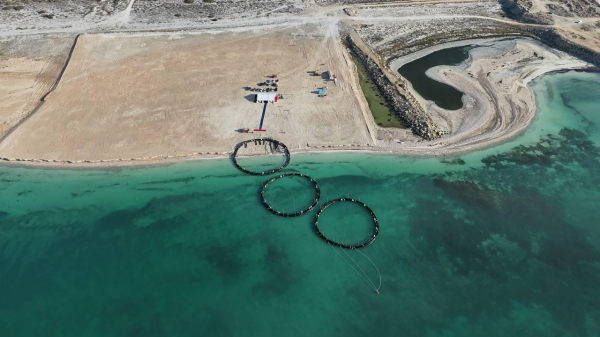 Первый рыбоводный проект в садках Каспия стартовал в Казахстане