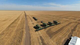 Акмолинские аграрии собрали рекордных 5 миллионов тонн зерна Акмолинские аграрии собрали рекордных 5 миллионов тонн зерна