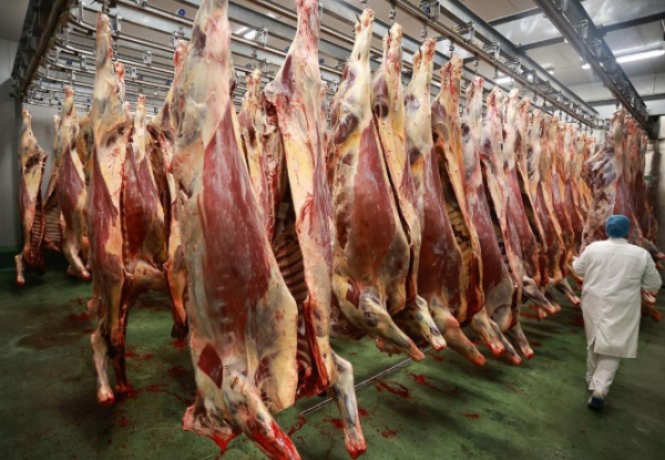 АПК получит льготное кредитование и долгосрочное финансирование племенного скота АПК получит льготное кредитование и долгосрочное финансирование племенного скота