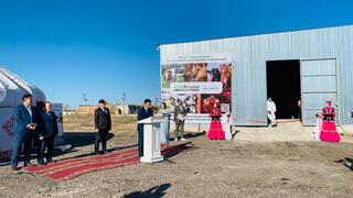 В Акмолинской области запущен новый инвестиционный проект – завод по производству кормового протеина