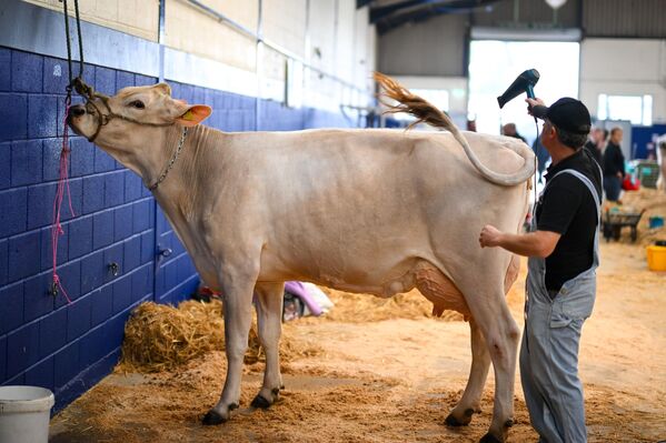 "Терминатор" на страже климата и гламурное хулиганство: самые яркие фотоновости "Терминатор" на страже климата и гламурное хулиганство: самые яркие фотоновости