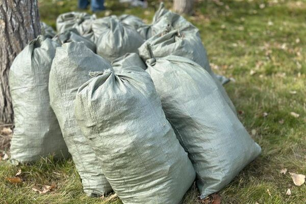 Токаев принял участие в экологической акции в Астане