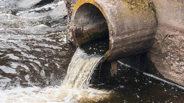 Загрязнение реки в Караганде: людям запретили сливать сточные воды в ливнёвку, при этом канализации в районе нет
 
Загрязнение реки в Караганде: людям запретили сливать сточные воды в ливнёвку, при этом канализации в районе нет