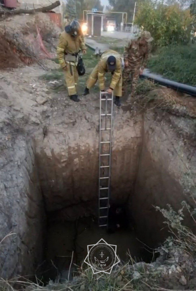 В Алматинской области мужчина провалился в заполненную дождевой водой яму
В Алматинской области мужчина провалился в заполненную дождевой водой яму