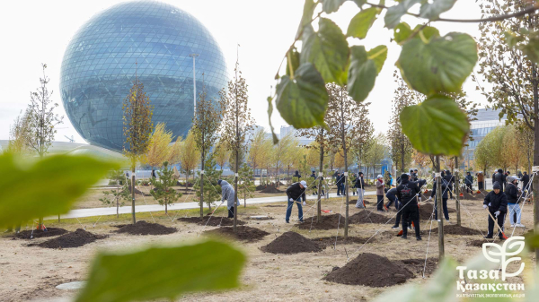 Аппарат Правительства поддержал инициативу «Таза Қазақстан»