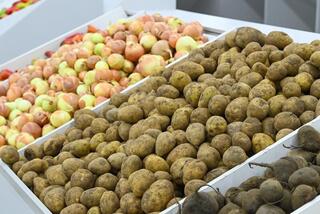 Коммунальный рынок «Syr darya» открылся в Кызылорде Коммунальный рынок «Syr darya» открылся в Кызылорде