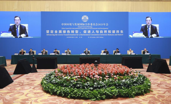 Безопасность без границ: МЧС Казахстана усиливает международное взаимодействие