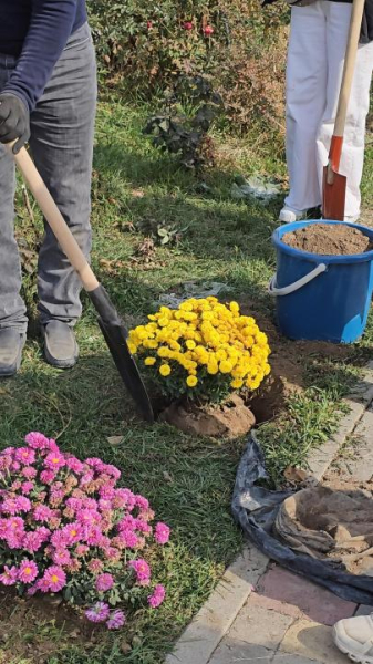 В Алматы школьники высадили три тысячи карагачей в парке «Сосновый бор»