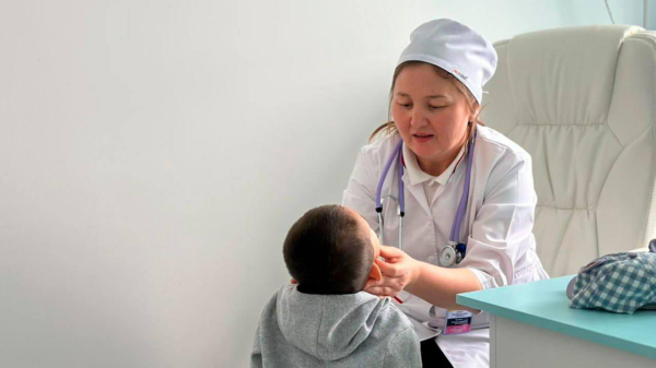 За счет возвращенных активов в Казахстане развивают сельскую инфраструктуру