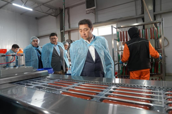 В области Абай растёт инвестиционная активность в агропромышленном комплексе