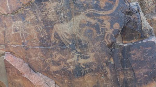 Национальную археологическую службу планируют создать в Казахстане
 
Национальную археологическую службу планируют создать в Казахстане