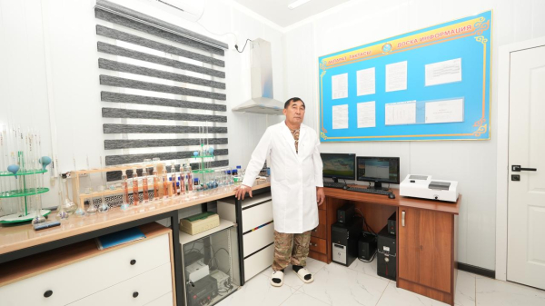 Безопасность без границ: МЧС Казахстана усиливает международное взаимодействие