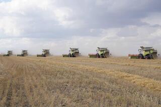 Есильский район: цифровые поля, высокая урожайность и новые возможности Есильский район: цифровые поля, высокая урожайность и новые возможности