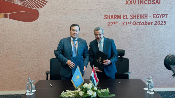 Казахстан и Египет будут сотрудничать в сфере госаудита
 Казахстан и Египет будут сотрудничать в сфере госаудита