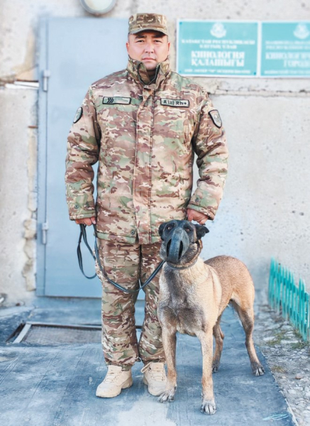 Верные напарники на службе закона Верные напарники на службе закона