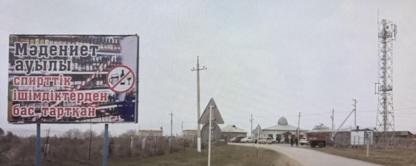 Пьянству — бой: МВД Казахстана предложило запретить онлайн-продажу алкоголя