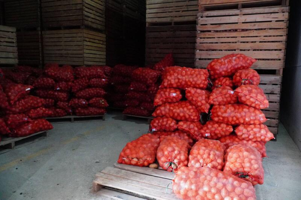 Аким области посетил предприятие «Органико» в Есильском районе Аким области посетил предприятие «Органико» в Есильском районе