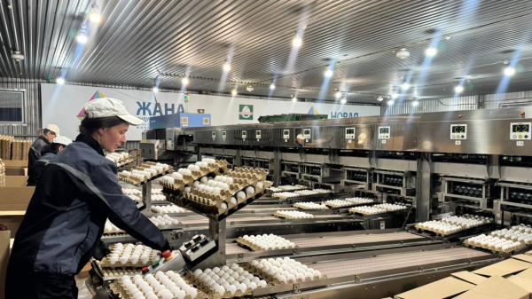 Костанайская область — центр инноваций АПК