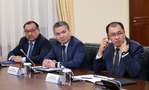 Германия заинтересована в энергетическом сотрудничестве с Казахстаном Германия заинтересована в энергетическом сотрудничестве с Казахстаном